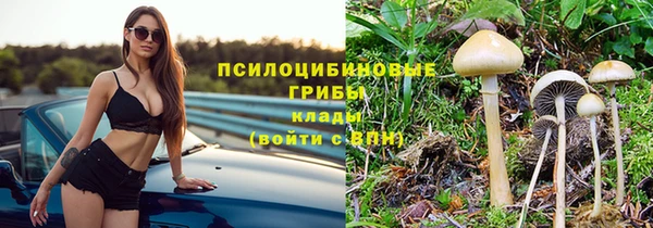 прущие грибы Нефтекумск