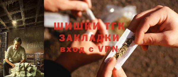 прущие грибы Нефтекумск