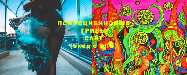 прущие грибы Нефтекумск