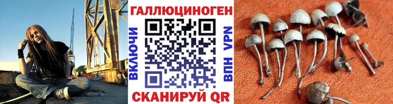 купить  сайты  Таганрог  ссылка на мегу как войти  Псилоцибиновые грибы Psilocybine cubensis 