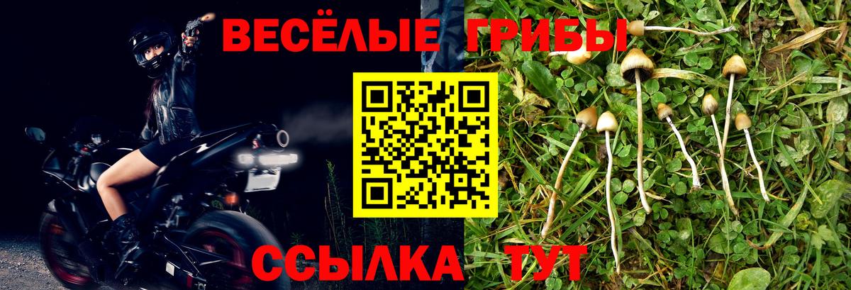 Галлюциногенные грибы Magic Shrooms  Вход с VPN  Таганрог 
