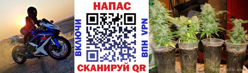 где купить наркотик  Таганрог  Марихуана SATIVA & INDICA 